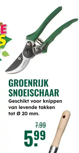 GroenRijk Groenrijk snoeischaar aanbieding