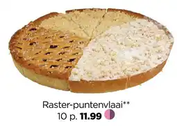 Jumbo Raster-puntenvlaai** aanbieding