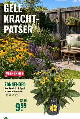GroenRijk Zonnehoed aanbieding