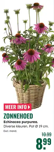 GroenRijk Zonnehoed aanbieding