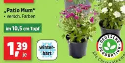 Thomas Philipps Patio Mum aanbieding