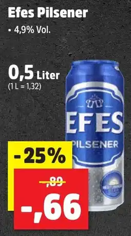 Thomas Philipps Efes Pilsener aanbieding