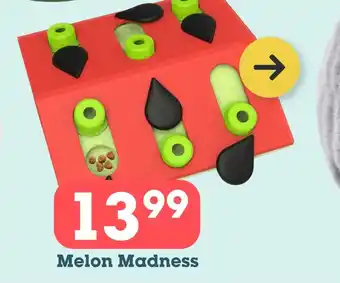 Discus Melon Madness aanbieding