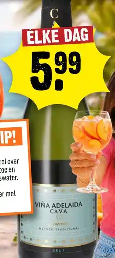 Dirck 3 Viña Adelaida Cava aanbieding