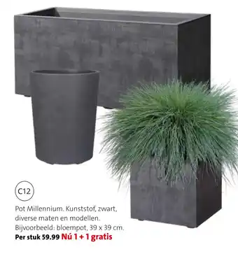 Intratuin Pot Millennium 39x39 cm aanbieding