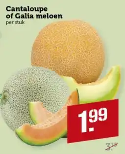Lekker Makkelijk Cantaloupe of Galia meloen aanbieding