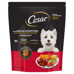 Zooplus 1.4kg Cesar Adult met rundvlees, gevogelte en groenten Droogvoer voor honden aanbieding