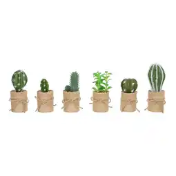 Van Cranenbroek Cactus in potje met jute aanbieding