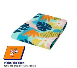 Action Picknickdeken aanbieding