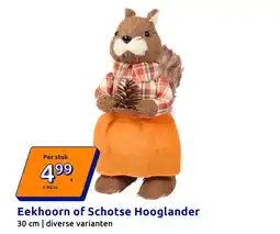 Action Eekhoorn of schotse hooglander aanbieding