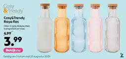 AllesZ Cosy&Trendy Raya fles aanbieding