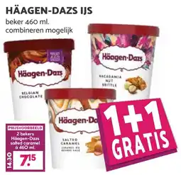 De Boerenschuur Häagen-dazs ijs aanbieding