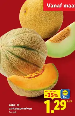 Lidl Galia- of cantaloupemelo aanbieding