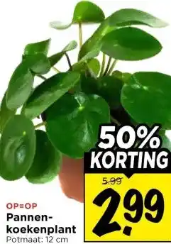 Vomar Voordeelmarkt Pannen- koekenplant aanbieding