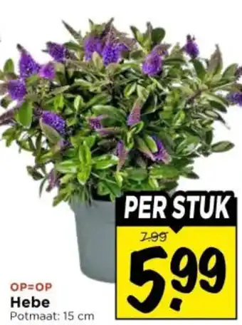 Vomar Voordeelmarkt Hebe aanbieding