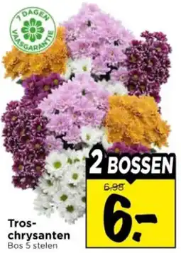 Vomar Voordeelmarkt Troschrysanten aanbieding