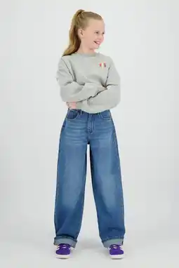 Wehkamp Raizzed sweater met backprint grijs aanbieding