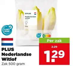 PLUS Plus nederlandse witlof aanbieding