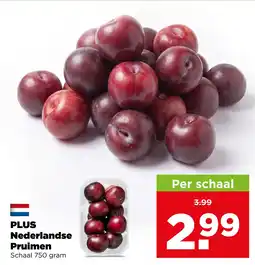 PLUS Plus nederlandse pruimen aanbieding
