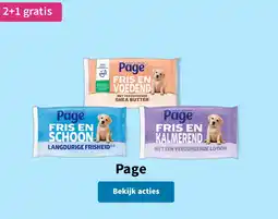 Plein.nl Page aanbieding