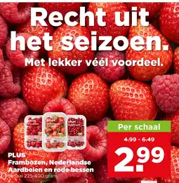 PLUS PLUS Frambozen, Nederlandse Aardbeien en rode bessen aanbieding
