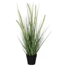 Van Cranenbroek Gras dogtail groen 53 cm aanbieding