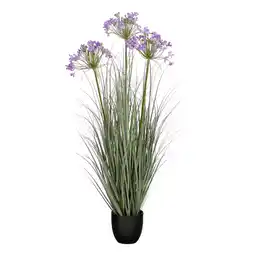Van Cranenbroek Pot Allium paars aanbieding