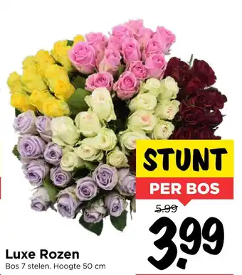 Vomar Voordeelmarkt Luxe rozen 50cm aanbieding