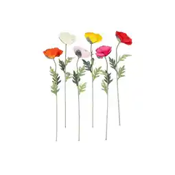 Van Cranenbroek Klaproos 65 cm diverse kleuren aanbieding