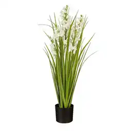 Van Cranenbroek Pot gras Campanula wit 78 cm aanbieding