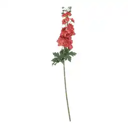 Van Cranenbroek Bloem Delphinium oranje 80 cm aanbieding