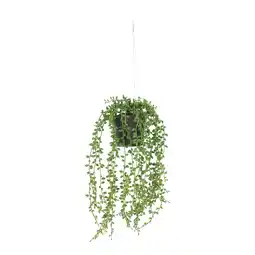 Van Cranenbroek Plant hangend groen 40 cm aanbieding