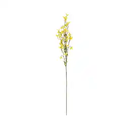 Van Cranenbroek Tak forsythia geel 84 cm aanbieding
