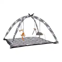 Van Cranenbroek Kattenspeeltje speelmat 54,5x54,5cm Friendly Pet aanbieding