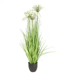Van Cranenbroek Pot Allium wit aanbieding
