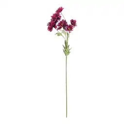 Van Cranenbroek Bloem Chrysanthemum paars 80 cm aanbieding