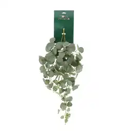 Van Cranenbroek Tak Eucalypthus Mint 80 cm aanbieding