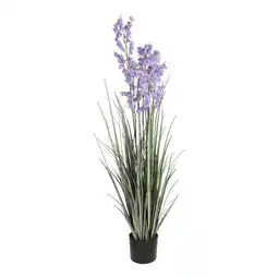 Van Cranenbroek Pot gras Campanula paars 120 cm aanbieding