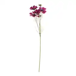 Van Cranenbroek Bloem Coreopsis paars 80 cm aanbieding