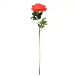 Van Cranenbroek Pioen op steel 66 cm coral aanbieding
