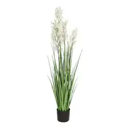 Van Cranenbroek Pot gras Campanula wit 120 cm aanbieding