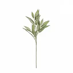 Van Cranenbroek Tak eucalyptus groen 78 cm aanbieding