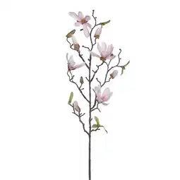 Van Cranenbroek Tak Magnolia roze 75 cm aanbieding