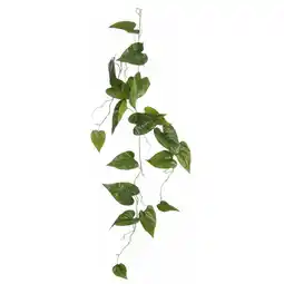 Van Cranenbroek Philodendron hangend groen 115 cm aanbieding