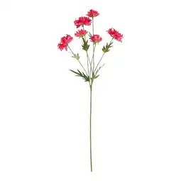 Van Cranenbroek Bloem chrysanthemum roze 80 cm aanbieding
