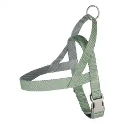 Van Cranenbroek Harnas noors Elly lichtgroen L 25 mm 62-75 cm aanbieding