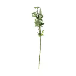 Van Cranenbroek Tak Distel groen 73 cm aanbieding