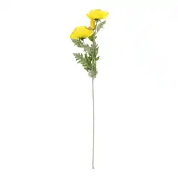 Van Cranenbroek Papaver op steel 106 cm geel aanbieding