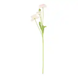 Van Cranenbroek Tak poppy 22 x 12 x 12 cm roze aanbieding