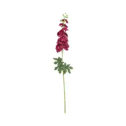 Van Cranenbroek Bloem Delphinium paars 80 cm aanbieding